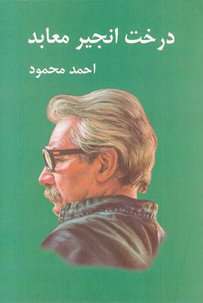 درخت انجیر معابد2جلدی